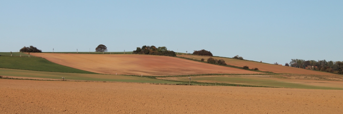 Im Herbst beginnt alles von vorn
